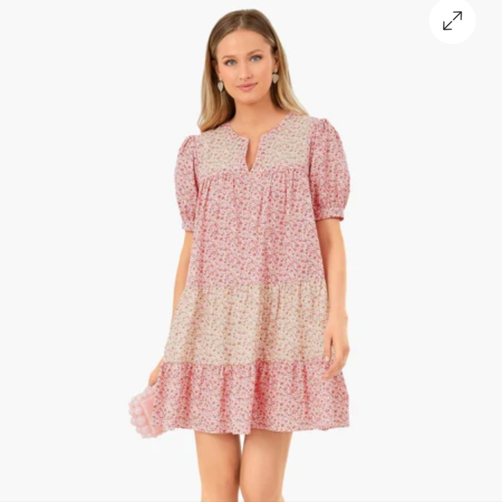 Tuckernuck Hyacinth House Multi Pink Floral Hana Mini Dress XS
